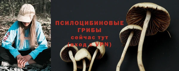 скорость Липки
