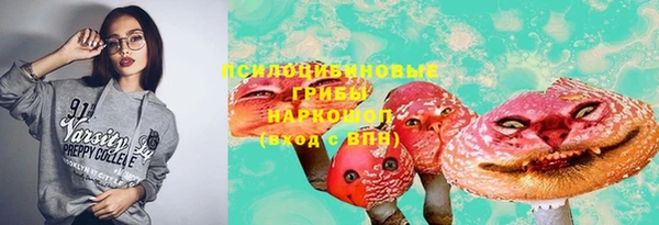 скорость Липки