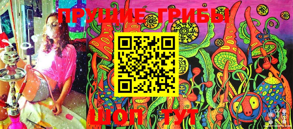 Псилоцибиновые грибы Psilocybe  Вход с VPN  Майский 
